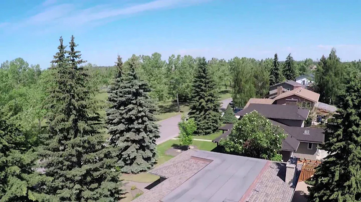 415 Lake Topaz Cres SE - For Sale by Brad Healey R...