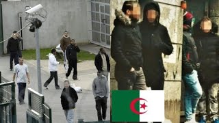 34,000 harragas arrested in 2024: Algerians become the champions of illegality in France