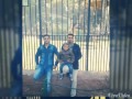 شكرا شكرا