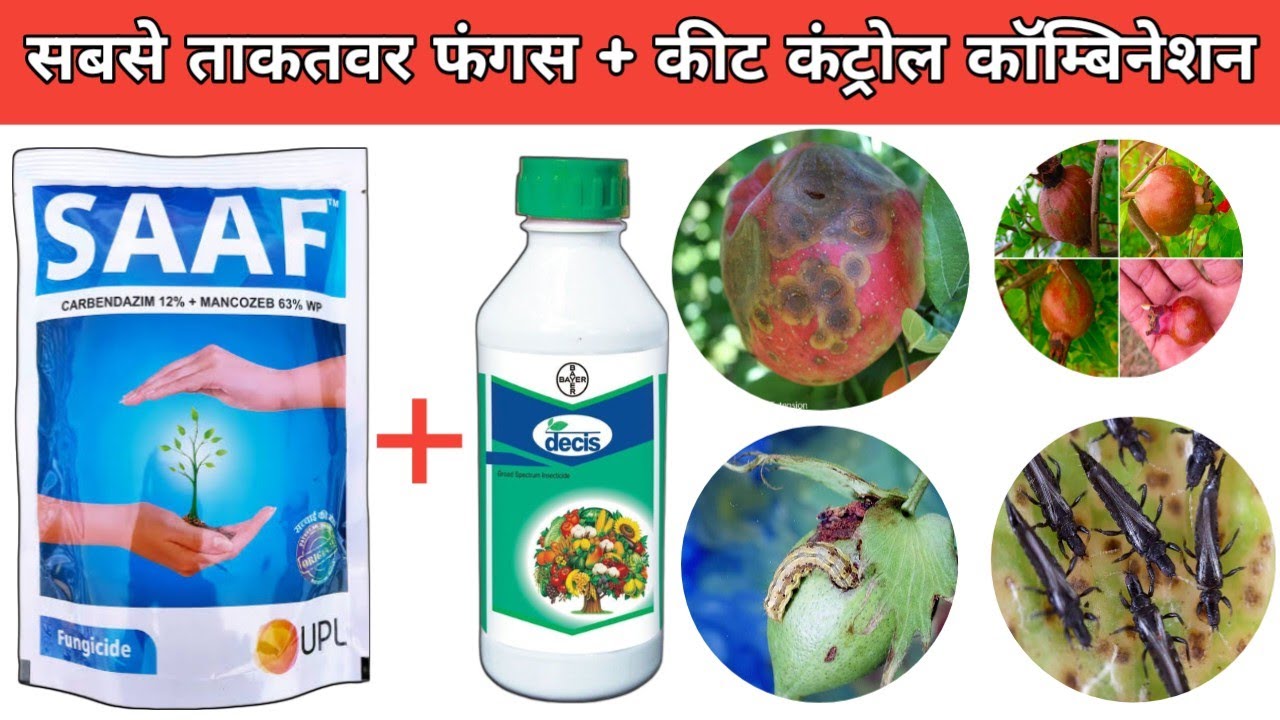 Saaf Insecticide powereful Fungicide insecticide combination | upl saaf fungicide ...