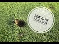 How to fix a pitch mark