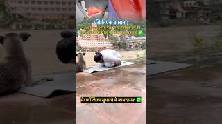 Fatty liver, शुगर, अपच और मासिक धर्म🩸की समस्या से राहत✅#pcos #fattyliver #health #shorts #ytshorts