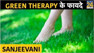 Sanjeevani: Green Therapy के फायदे