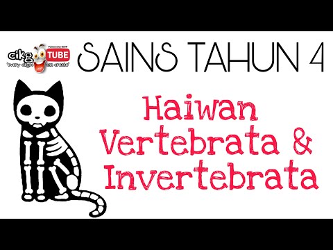 Video: Invertebrata dalam definisi sains?