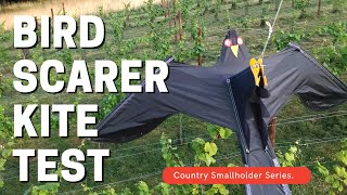 Testing and setting up a Bird Scarer Kite.  What's it like? by My Country Life 21,923 views 2 years ago 7 minutes, 31 seconds