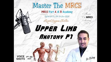 MTM Upper Limb Anatomy P1 Voice Shots Dr Bishoy 9 2021
