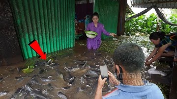 Banjir Membawa Berkah!! Warga Gempar! Tiba² Ribuan ikan Masuk Ke Dalam Rumah! Fenomena Aneh ini