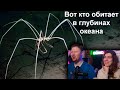 Жуткое существо из глубин океана! Морской паук! | РЕАКЦИЯ