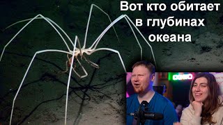 Жуткое Существо Из Глубин Океана! Морской Паук! | Реакция