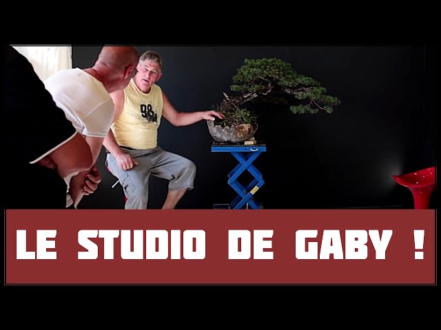 INTERVIEW de GABY BECKER sur l'ENGRAIS 🌱 NEJIKAN BONSAI 🌱 