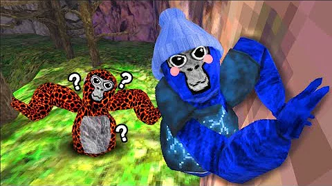 1 Hour VS 1000 Hours in Gorilla Tag