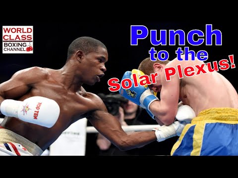 Boxing Video Series | Vital Targets | Punch to the Solar Plexus