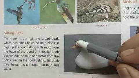 DAV Nahan Class-IV Science Lesson-5, Part-3