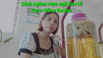 Cách ngâm rượu ngô bao tử đơn giản nhất// Corn Wine Recipe. Khoe thành quả bình rượu nho sau 2 tuần