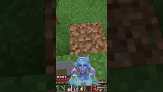 Spider inventory pet 🕷 - Modded #Minecraft #FunCraft 🌈