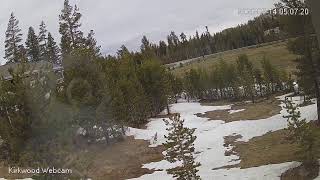 Kwoodwebcam Kirkwood Live Stream
