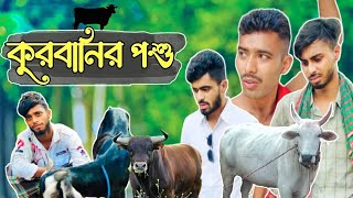 কুরবানির পশু / Bangla New Funny Video content