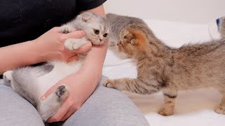 The kitten and its owner were so emotional on their last night together.