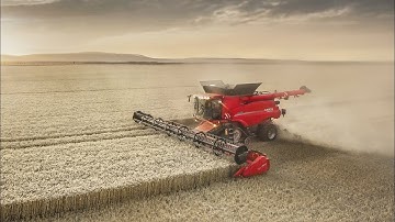 Case IH Axial-Flow 250