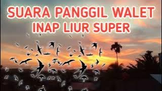 SUARA PANGGIL WALET - INAP LIUR SUPER