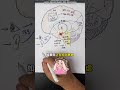 焦虑的根源是什么？大脑中的杏仁核如何影响焦虑？ #抖出健康知识宝藏#健康科普不基础#新一代抗焦虑#焦虑#焦虑背后的原因到底是什么