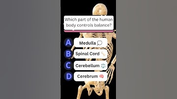Which part of the human body controls balance? #medulla #cerebellum  #quiz #quizz #viral