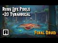 Feral Druid | Ruby Life Pools +20 Tyrannical