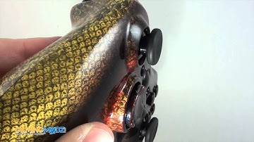 Snakeskin Modded Xbox 360 Controller Exclusively from GamingModz.com