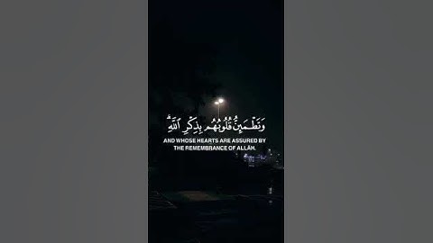 🌿 تلاوة مؤثرة من القرآن الكريم | "ألا بذكر الله تطمئن القلوب"🌿