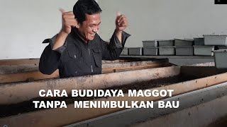 Download lagu CARA BUDIDAYA MAGGOT AGAR TIDAK BAU (BSF FARMING WITHOUT SMELL}