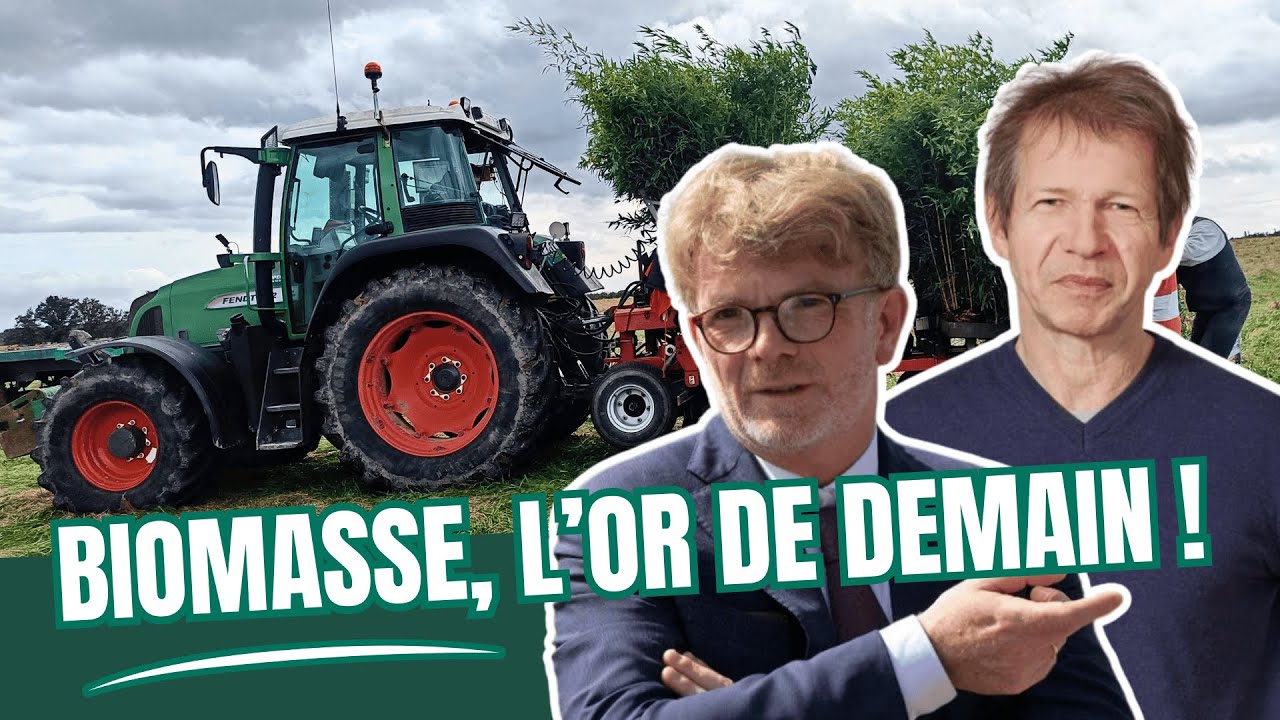 V3 - Le marché biomasse agricole