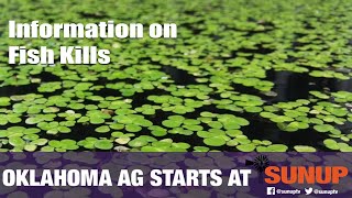 Preventing Fish Kills in Ponds (8/10/19)
