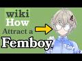 Wikihow: How to Attract a Femboy