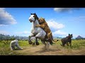 RDR2 - 4 jaguar attack a wild horse amazing moment ep.40