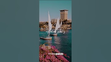 ألم ترى أن الله يسبح له من في السموات والأرض | سورة النور | عبدالباسط عبدالصمد