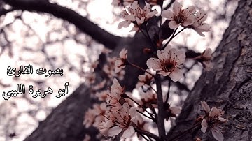 سورة الطور - بصوت القارئ: أبو هريرة الليبي