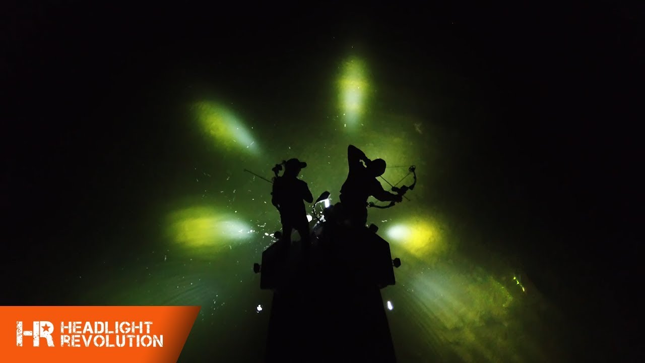 Bowfishing With Headlight Revolution YouTube