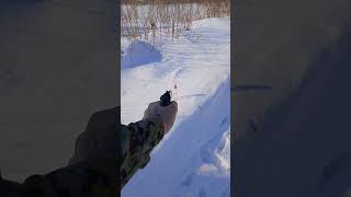 мр-654к #gun #мр654к