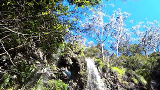 The Twin Falls, Springbrook National Park, Gold Coast Hinterland