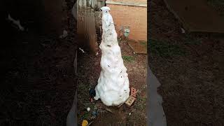 Beautiful Things By                   Benson Boone