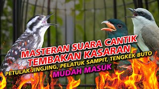 MASTERAN JAWARA 2026 TEMBAKAN KERAS JINGJING PETULAK TENGKEK BUTO PELATUK SAMPIT