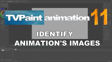 Identify your images (TVPaint Animation 11 tutorial)