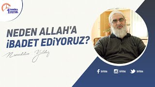 Neden Allah'a ibadet ediyoruz? | [Birfetva-Nureddin Yıldız] Resimi