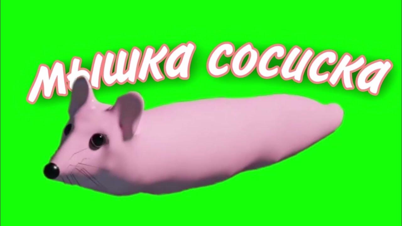 мышка сосиска , крыска ириска, кот. мышка сосиска туц тудуц. мыша сосиска. мышка сосиска крыска ириска кот бутерброд. мемы мышка сосиска.
