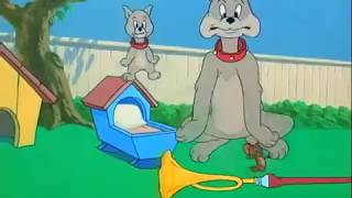 Tom & Jerry Theme Song Remix