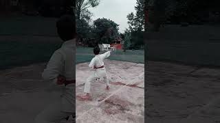 Heian Sandan Kata Hayashi Ha Karate