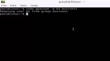 How to remove user from group in Linux Mint
