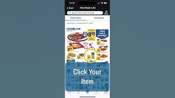 How to Choose Your Shopping Method with the Food Lion App