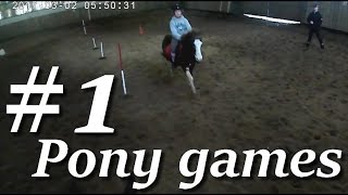 #1 Préparation à la competition-PONY GAMES 02/03/2017 screenshot 5