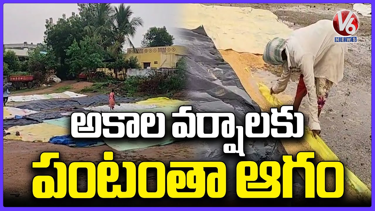 Unseasonal Rains Caused Huge Loss To Farmers | V6 News - YouTube